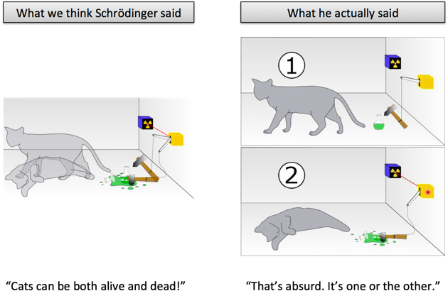 schroedinger's cat misconception